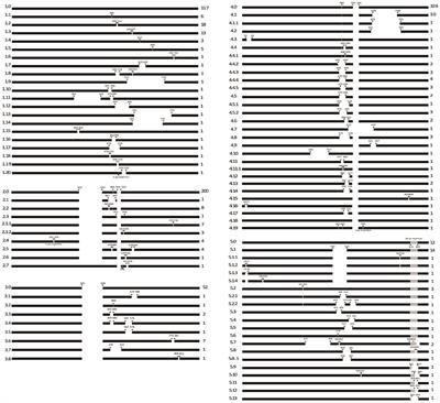 Characterization of Two Immunodominant Antigenic Peptides in NSP2 of PRRSV-2 and Generation of a Marker PRRSV Strain Based on the Peptides